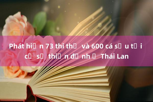 Phát hiện 73 thi thể và 600 cá sấu tại cơ sở thiền định ở Thái Lan