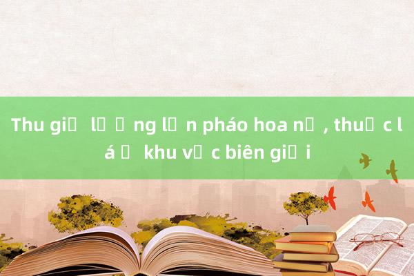 Thu giữ lượng lớn pháo hoa nổ， thuốc lá ở khu vực biên giới