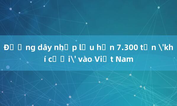 Đường dây nhập lậu hơn 7.300 tấn 'khí cười' vào Việt Nam