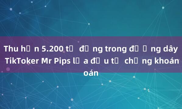 Thu hơn 5.200 tỷ đồng trong đường dây TikToker Mr Pips lừa đầu tư chứng khoán