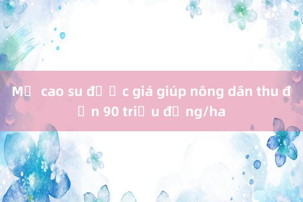 Mủ cao su được giá giúp nông dân thu đến 90 triệu đồng/ha