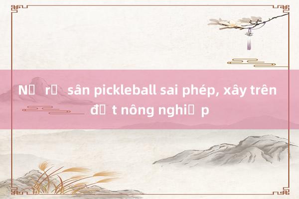 Nở rộ sân pickleball sai phép， xây trên đất nông nghiệp