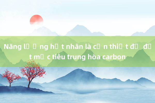 Năng lượng hạt nhân là cần thiết để đạt mục tiêu trung hòa carbon